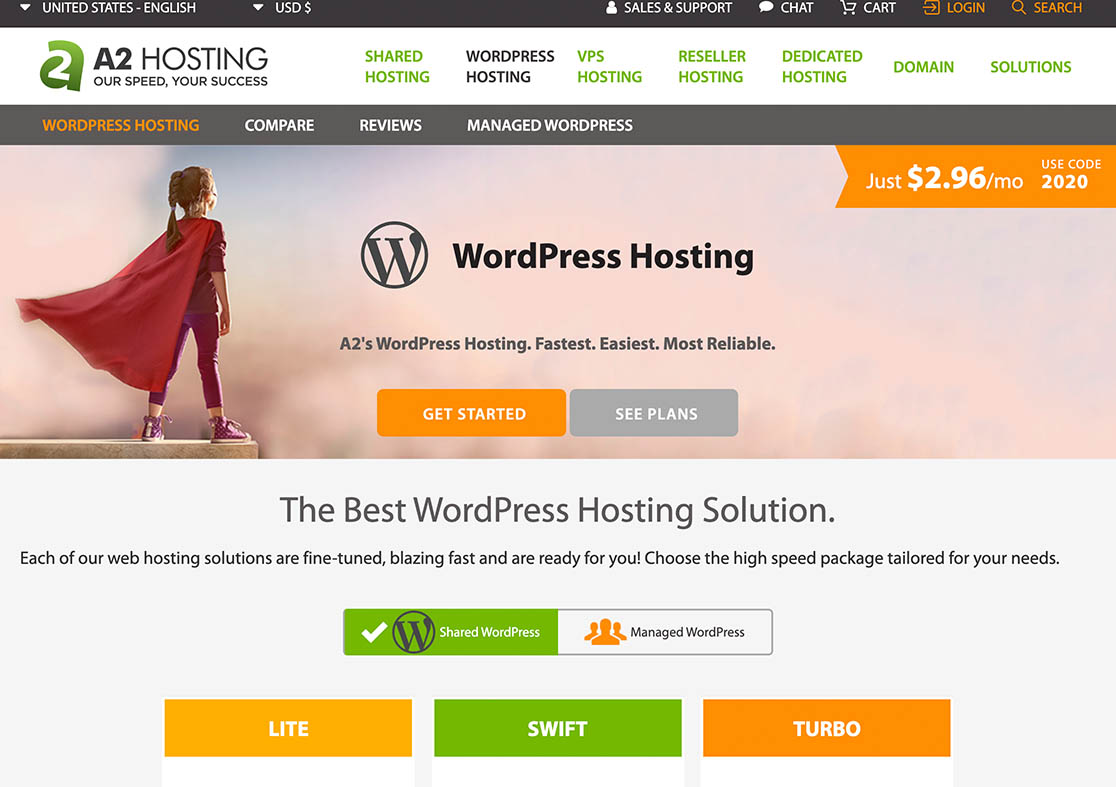 web hosting service provider